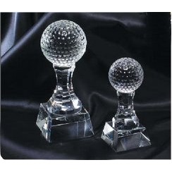 Small Golf Champion Award