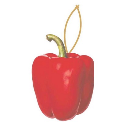 Bell Pepper Executive Ornament w/ Mirrored Back (4 Square Inch)