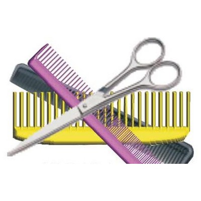 Beautician Combo Maxi Magnet (6 Square Inch)