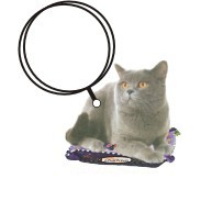 Chartreux Cat T Shirt Keychain w/Mirrored Back (4 Square Inch)
