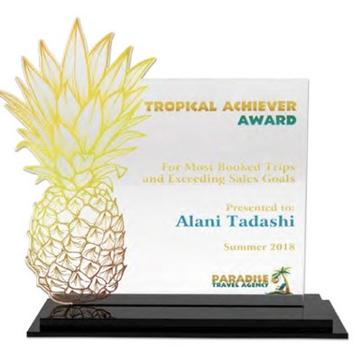 Acrylic 24 Award