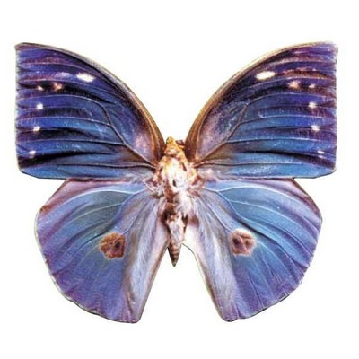 Blue Butterfly Lapel Pin