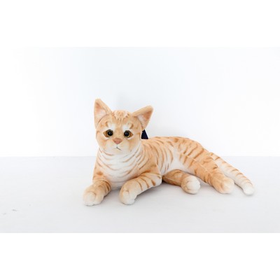 Yellow Cat
