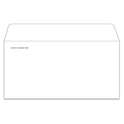 Plain White Moist & Seal Custom License Plate Envelope