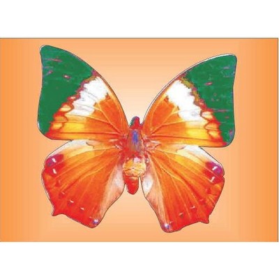 Orange & Green Butterfly Round Metal Photo Magnet (2 1/2")