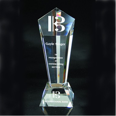 Crystal Vision Award