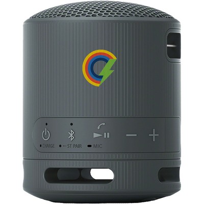 Sony SRS-XB100 Bluetooth Speaker