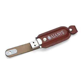 Rugged USB Flash Drive w/Key Chain (1 GB)