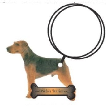 Welsh Terrier Keychain w/Mirrored Back (12 Square Inch)