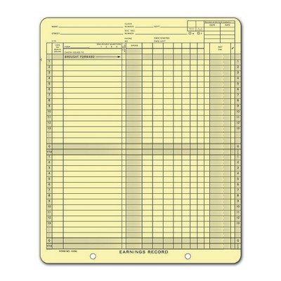 One-Write® Earnings Record Ledger Cards