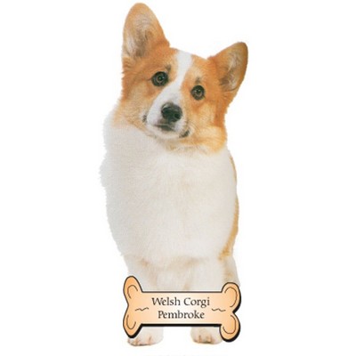 Welsh Corgi Dog Maxi Magnet (3 Square Inch)