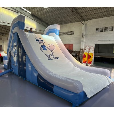 Inflatable Slip N Slide