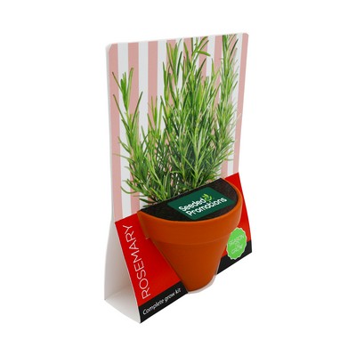 Terracotta Grow Kit - Season To Grow