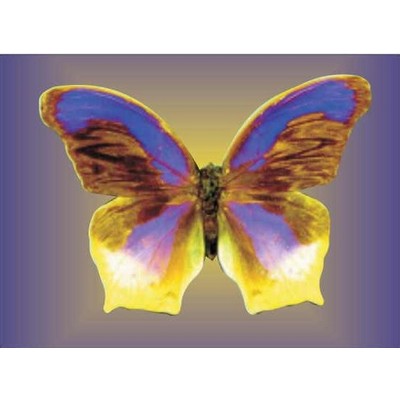 Purple & Yellow Butterfly Rectangle Metal Photo Magnet (2"x3")