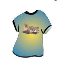 Asian Chocolate Smoke Cat T-Shirt Mighty Mini Magnet