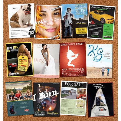Poster - 8.5x11 - 10 pt. Matte Cover