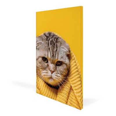 16x20" Canvas Frame (Graphic Package)
