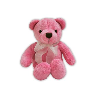 Custom Plush Soft Pink Bear