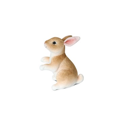 Brown Rabbit