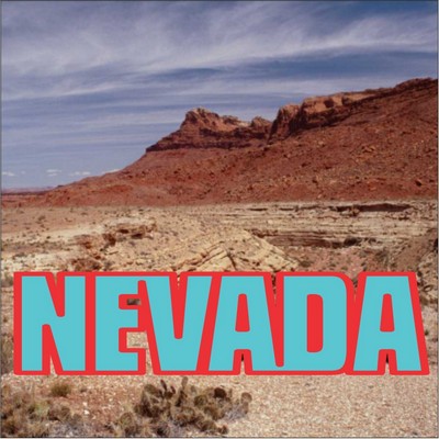 Nevada Desert Metal Photo Magnet (2 1/2" Square)