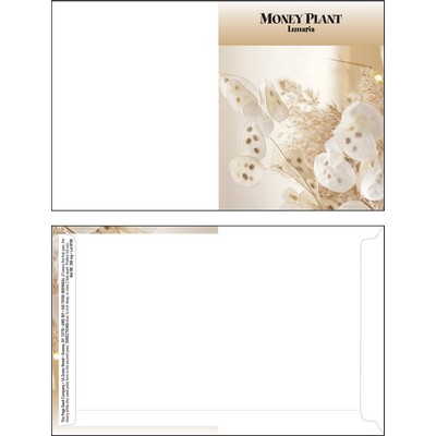 Mailable Series Money Plant Seeds