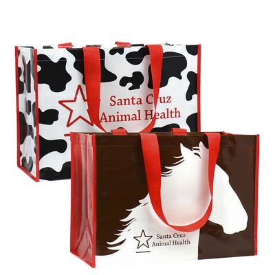 170g Full-Color Laminated Woven PE Recycled Custom Shopping Bag (18"x13"x9")
