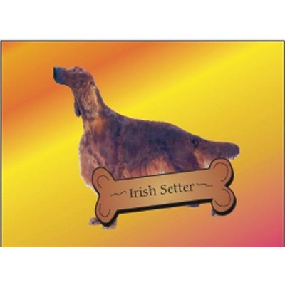 Irish Setter Dog Rectangle Badge w/ Bar Pin (2 1/2"x3 1/2")