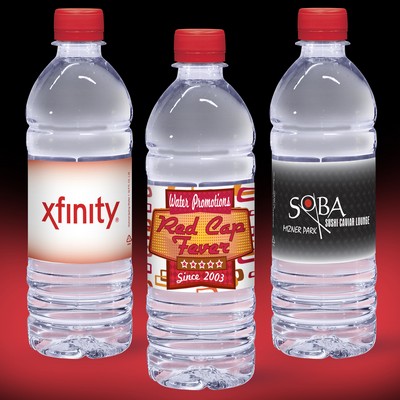 16.9 Oz. Custom Label Spring Water w/Red Flat Cap - Clear Bottle