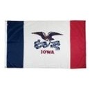 Iowa Indoor Parade Flag w/Pole Hem (5'x8')