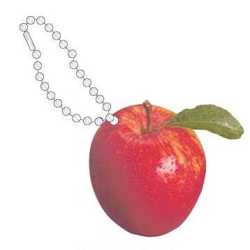 Apple Promotional Key Chain w/ Black Back (2 Square Inch)
