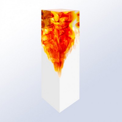 Amber Resin Award