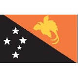 3'x5' Papua New Guinea U.N. Nylon Outdoor Flag - Style B