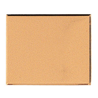 Gold Aluminum Embossed Plate w/Beveled Borders (2-5/8" x 3¼")