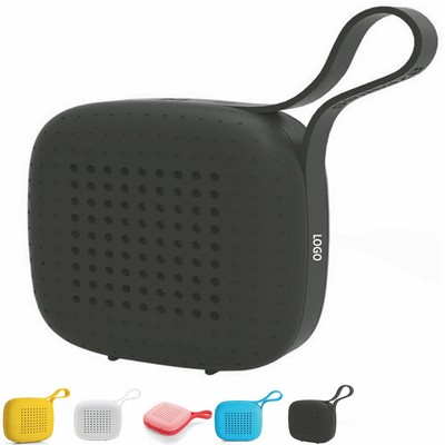 Portable Audio