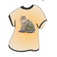 Exotic Shorthair Cat T-Shirt Lapel Pin