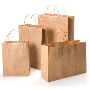 Brown Kraft Paper Bag w/Twisted Paper Handles (10"x6 3/4"x12")
