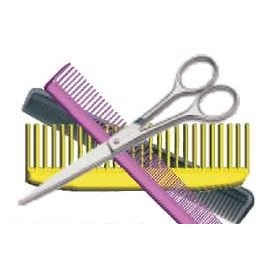 Beautician Combo Executive Magnet w/ Full Magnetic Back (8 Square Inch)