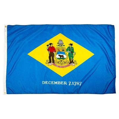 Delaware Indoor Parade Flag w/Pole Hem And Fringe (3'x5')
