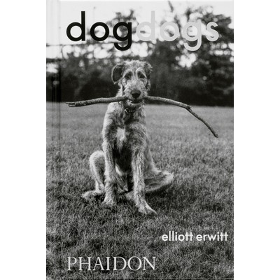 DogDogs