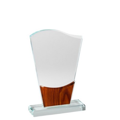 Waveform Crystal Award, 7"H