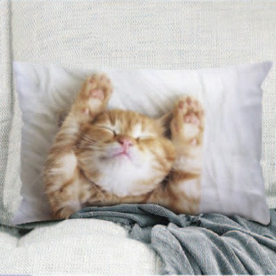 Standard Pillow Case Cover (40'' x 20'')