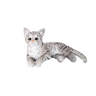 Light Brown Cat