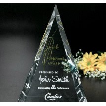 Palisade Award 6"