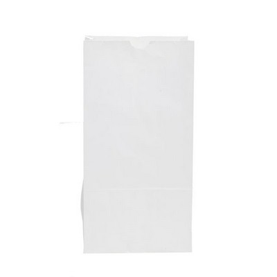 #20 White Kraft Grocery Bag (8¼"x5.3125"x16.125")