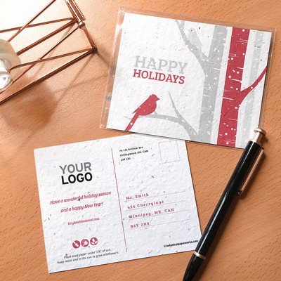 Birch Trees Plantable Holiday Postcards