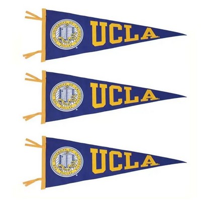 18.10 x 8.26 Medium Pennant Flag