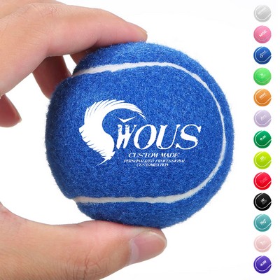2.5'' Pet-Safe Felt Tennis Ball Chew Toy