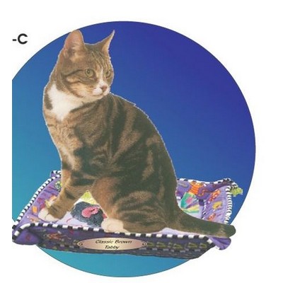 Brown Tabby Cat Acrylic Coaster w/Felt Back