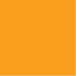 Fluorescent Orange Square Labels - 2.5" x 2.5"