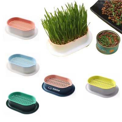 Catnip Plant Box